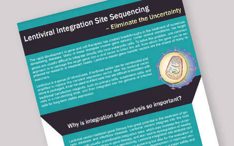 Lentiviral Integration Site Sequencing – Eliminate the Uncertainty