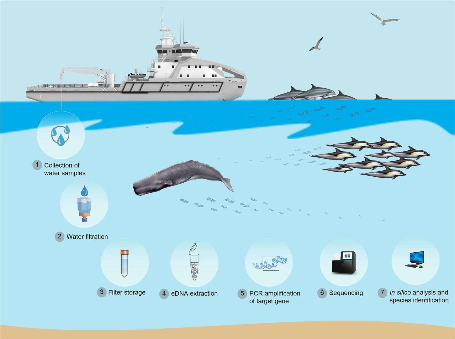 Environmental DNA (eDNA) Analysis Service