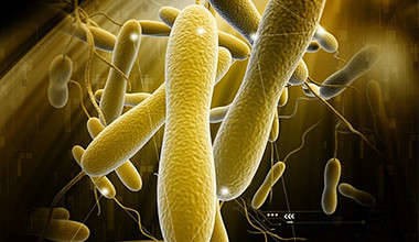 Eubacteria- Definition, Characteristics, Structure, Types, Examples and sequencing