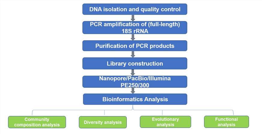 eukaryotic-18s-rrna-sequencing-3-1