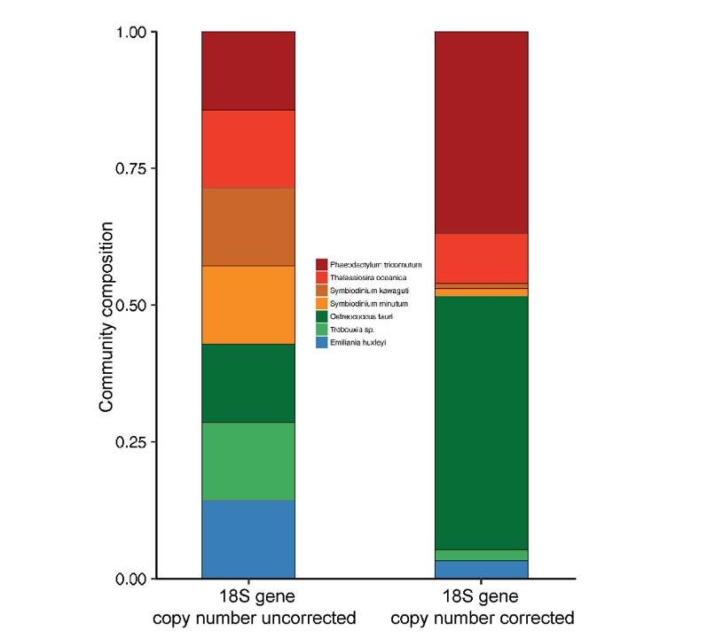 Estimation of 18S gene copy number in marine eukaryotic plankton using a next-generation sequencing approach