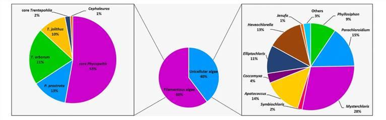 Molecular characterization of eukaryotic algal communities in the tropical phyllosphere based on real-time sequencing of the 18S rDNA gene.