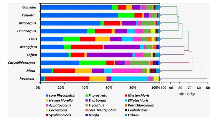 Molecular characterization of eukaryotic algal communities in the tropical phyllosphere based on real-time sequencing of the 18S rDNA gene.