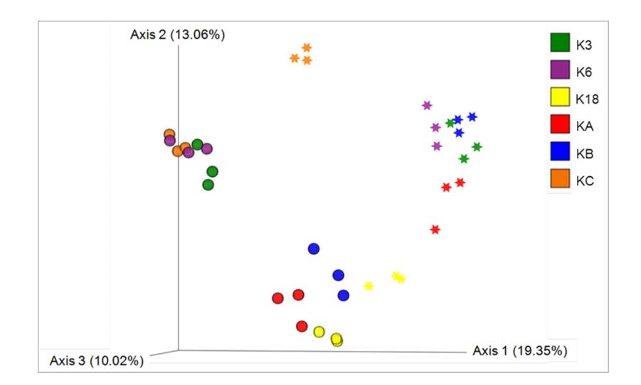 Distribution and diversity of eukaryotic microalgae in Kuwait waters assessed using 18S rRNA gene sequencing.