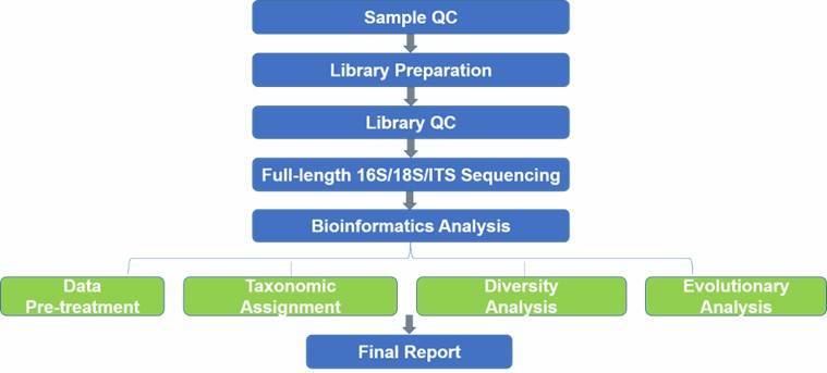 The Workflow of Full-Length 16S/18S/ITS Sequencing.