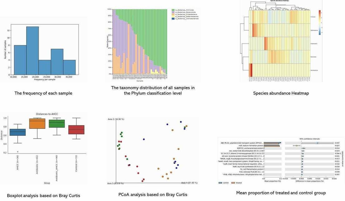 The Full-Length 16S/18S/ITS Sequencing Results Display Figure.