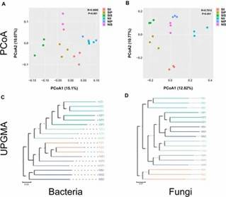 Fig 2. Principal Coordinate Analysis (PCA) and Unweighted Pair Group Method with Arithmetic Mean (UPGMA) dendrograms showing microbial community structures. (Shi et al., 2021)