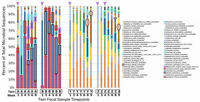 Figure 1. Overview of bacterial community composition