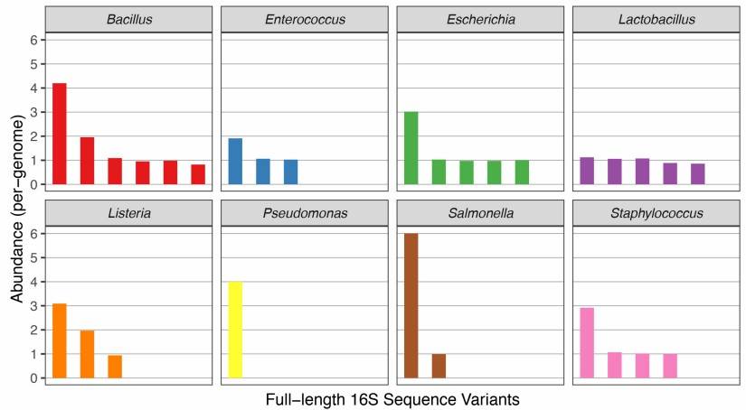 Figure 2. ASVs abundance in a simulated microbial community