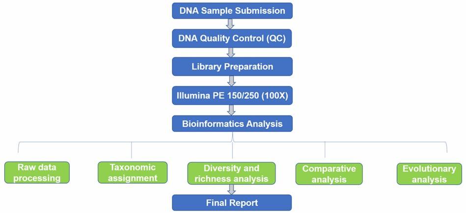 The Workflow of Fungal ITS Sequencing.