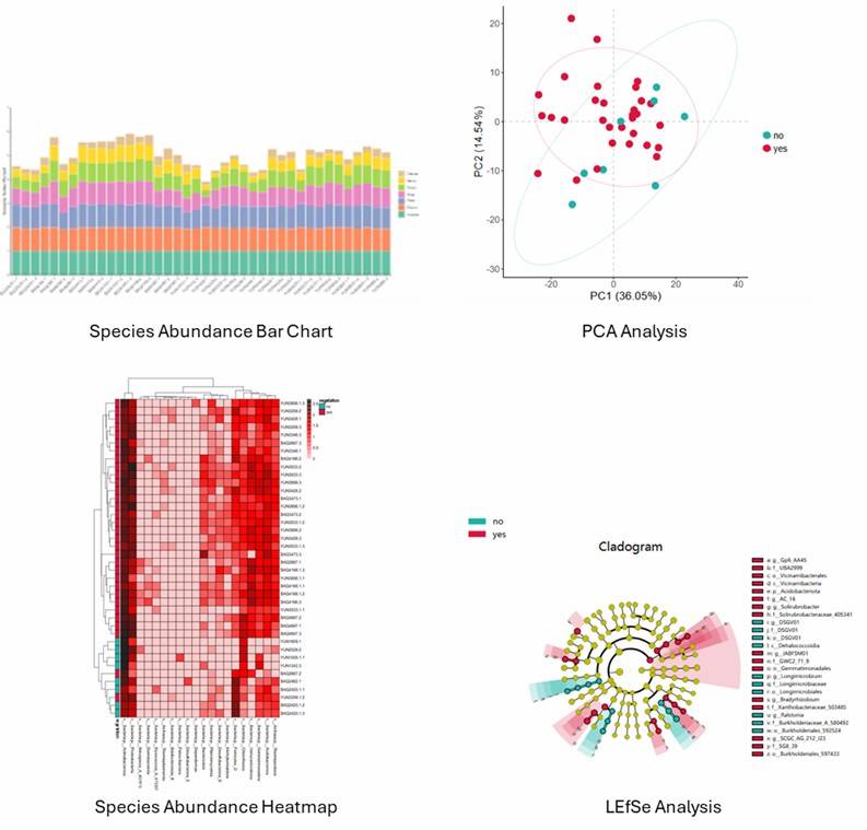 The Fungal ITS Sequencing Results Display Figure.