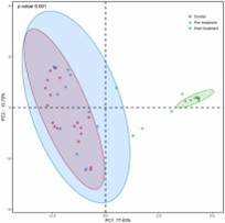 Figure 1. Principal coordinates analysis (PCoA) of fungal community structure based on weighted UniFrac distance across three groups. (Gu et al., 2022)