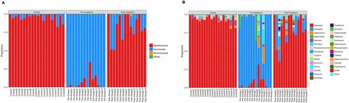 Figure 2. Phylum and genus level distribution of dominant fungi in the three groups. (Gu et al., 2022)