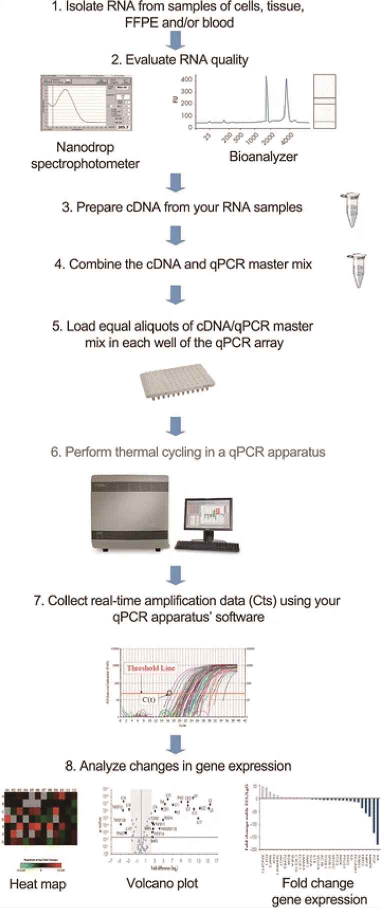 Gene Expression Analysis: Technologies, Workflows, and Applications