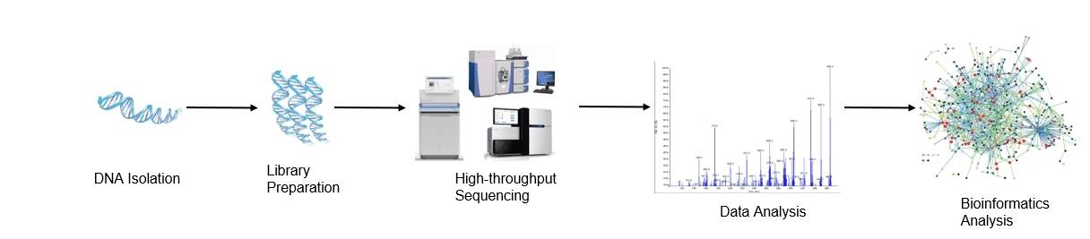 gut-microbiota-research-solution