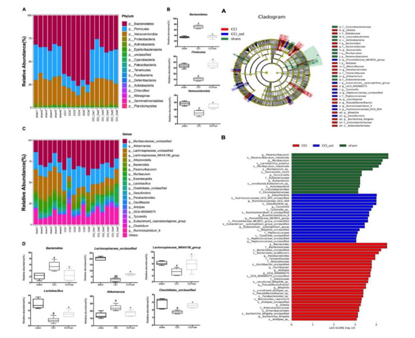 gut-microbiota-research-solution