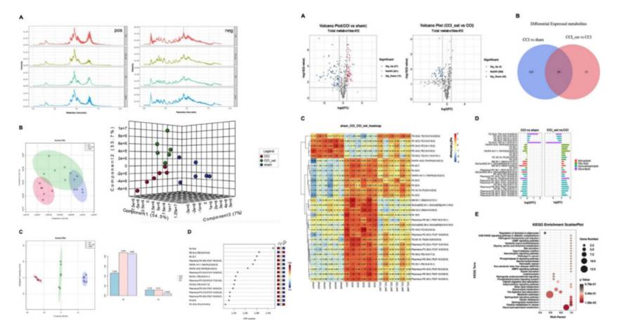 gut-microbiota-research-solution