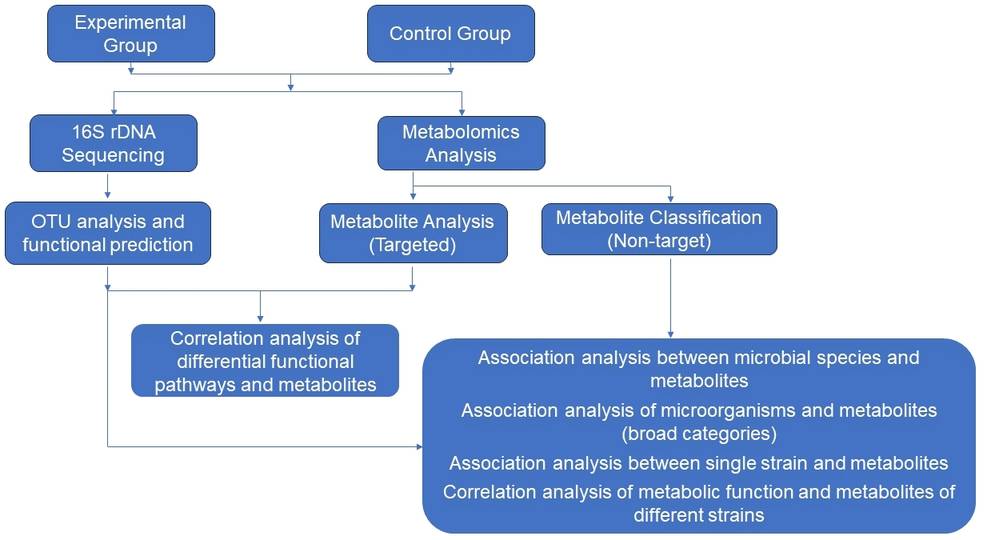 gut-microbiota-research-solution