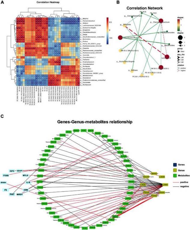 gut-microbiota-research-solution