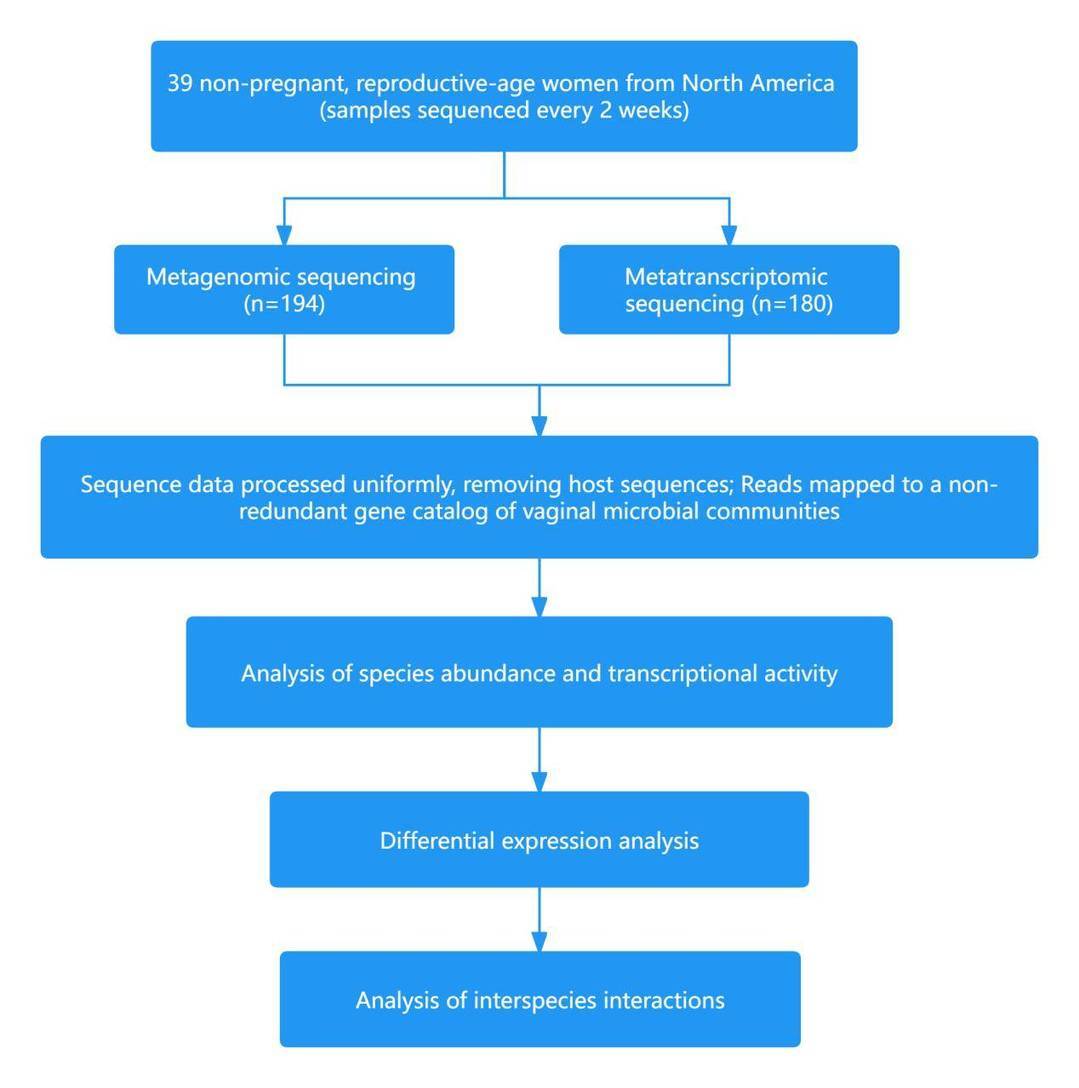 Technical Approach