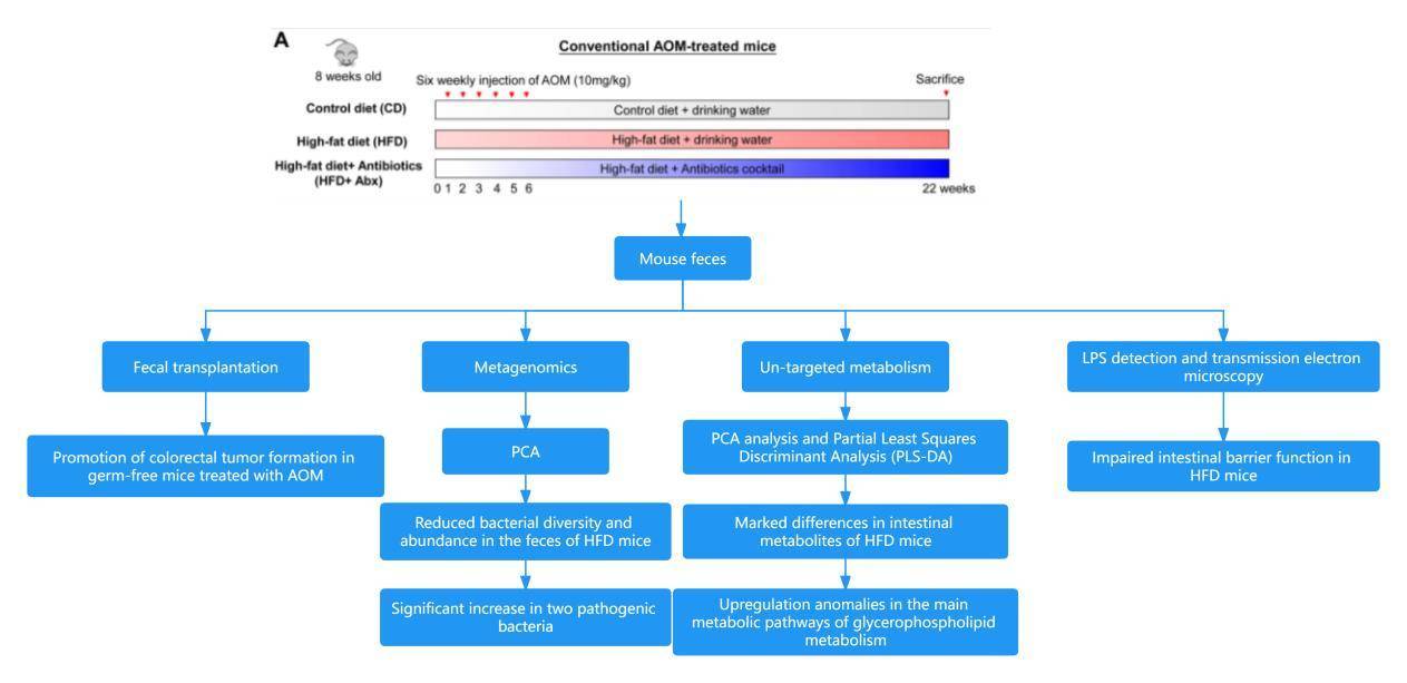 Technical Approach