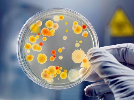 How to Choose Microbial Sequencing Methods