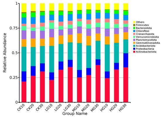 How to Interpret Amplicon Sequencing Results