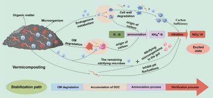 How to Study Nitrogen Cycle Microorganism