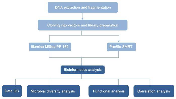 How to Uncover Phosphorus Cycling in Microbial Communities