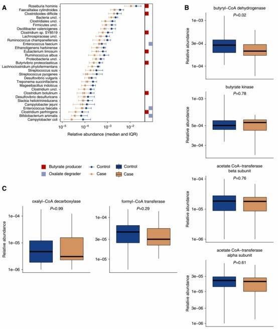 The relative abundance of 32 bacterial taxa and the abundance of the bacterial gene butyryl-CoA dehydrogenase were lower among participants with kidney stone disease.