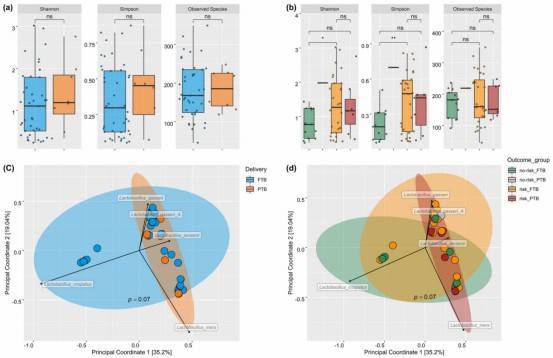 Species diversity between study groups.