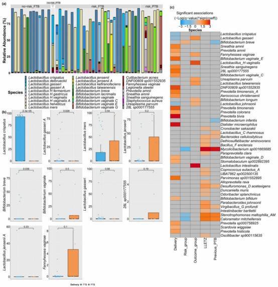 Species composition across study groups.