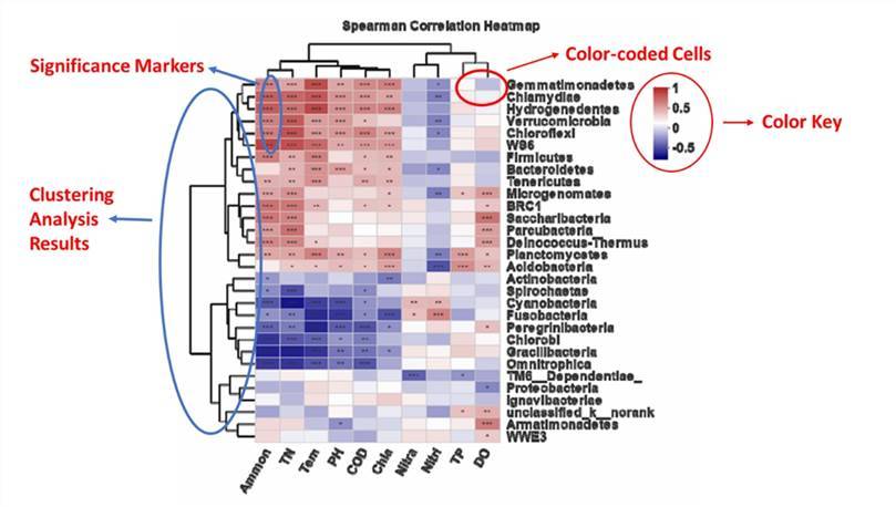 Heatmap analysis at phylum level.