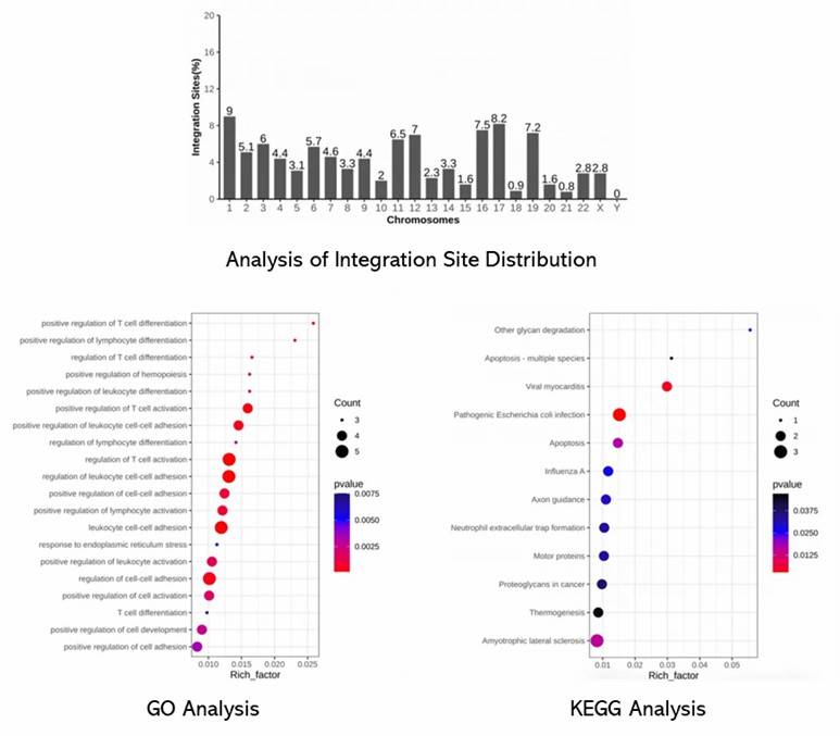 The Fungal ITS Sequencing Results Display Figure.