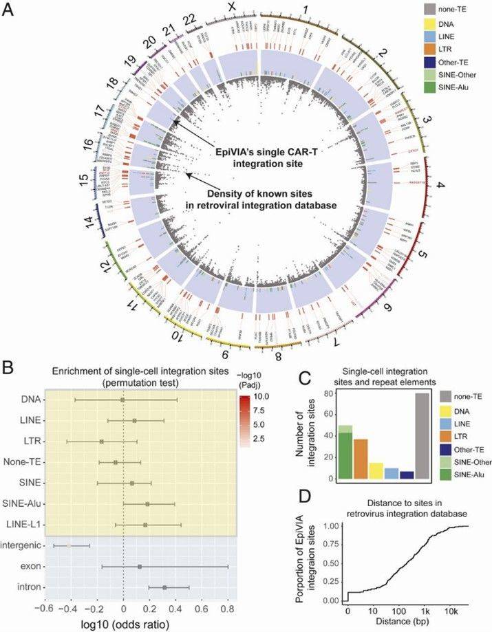 Figure 1. Principal coordinates analysis (PCoA) of fungal community structure based on weighted UniFrac distance across three groups. (Gu et al., 2022)