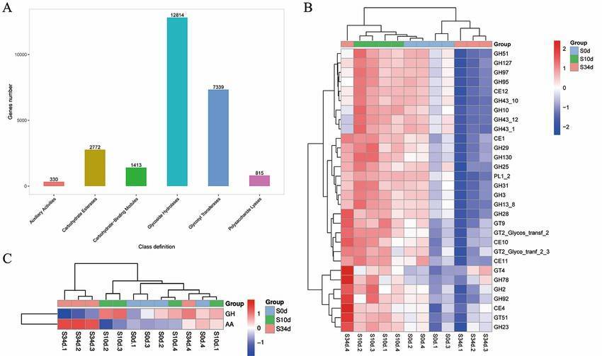 CAZyDatabase Annotation (Huan Xu et al,. 2022)