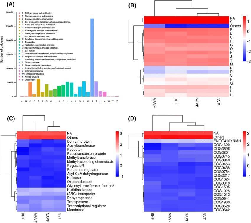 Metagenomic Analysis Databases