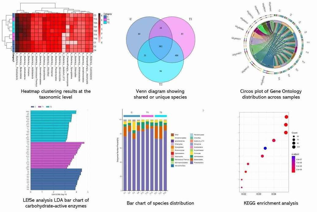 The Shotgun Metagenomic Sequencing Results Display.