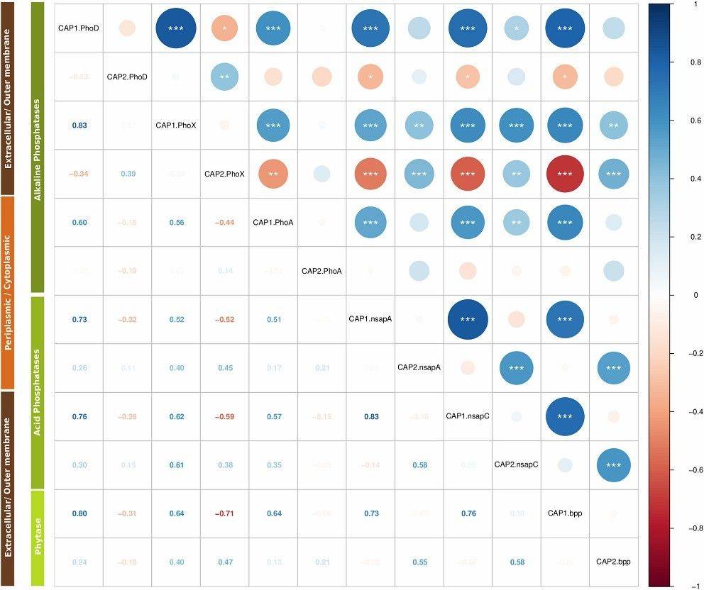 Fig 2. Correlation matrix of the KR-CAP axes. (Garaycochea et al., 2023)
