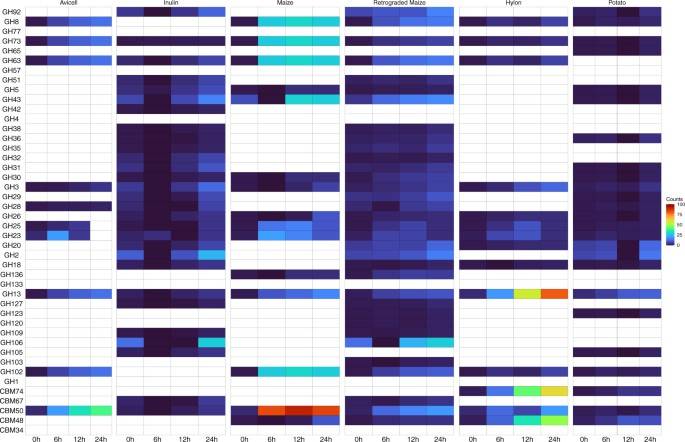 CAZymes Functional annotation for metagenomic