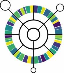 eggNOG annotation for metagenomic