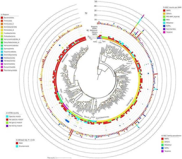 AntiSMASH annotation for metagenomic