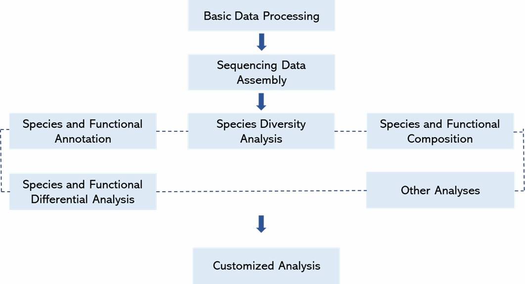 The Bioinformatics Analysis of Shotgun Metagenomic Sequencing.