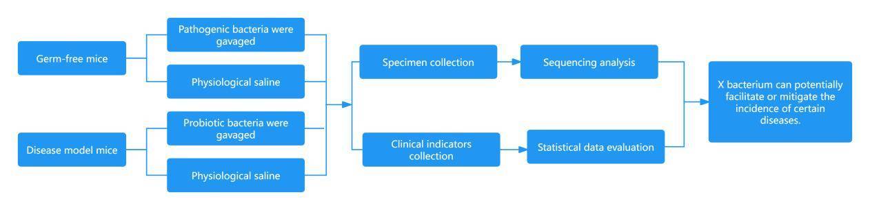 Methods and Applications of Gut Microbiome Research