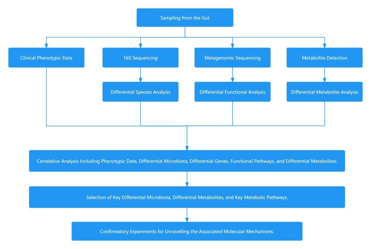 Study Approach for Gut Microbiota