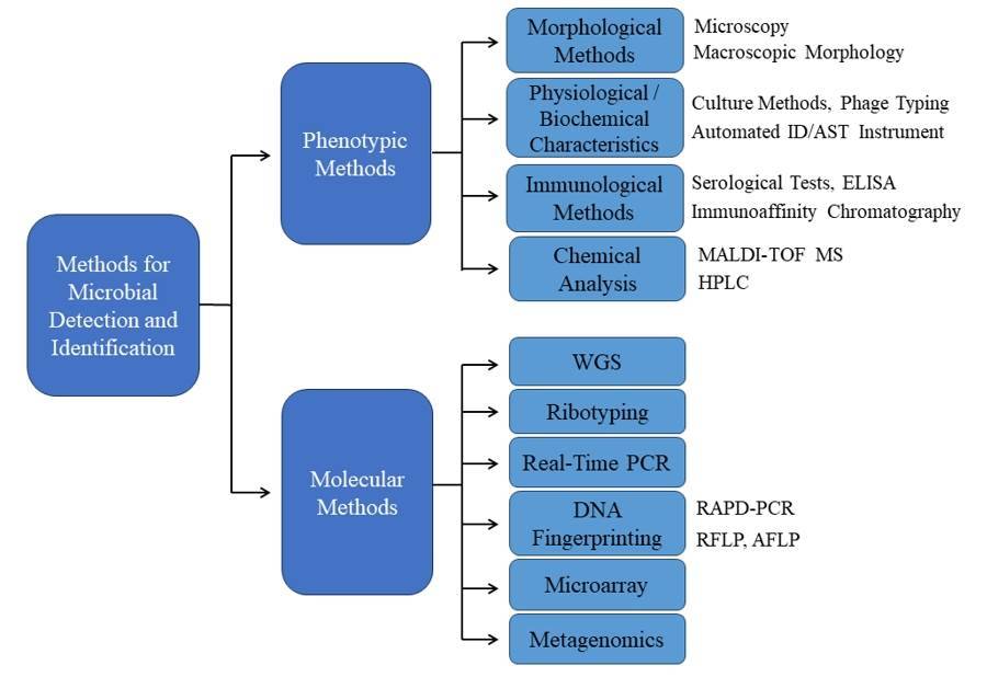 Methods for Microbial Detection and Identification.