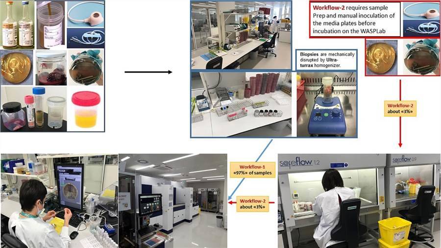 Total Lab automation workflows.