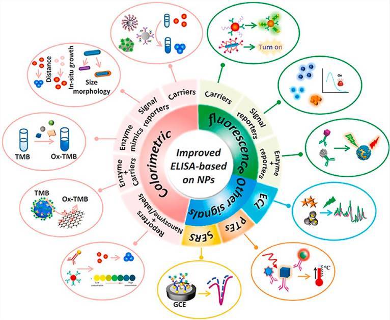 Recent improvements in enzyme-linked immunosorbent assays based on nanomaterials. 