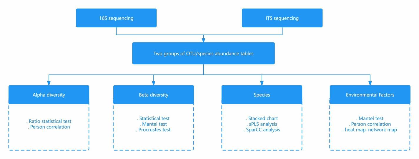 CD Genomics' research approach on correlation analysis of 16S and ITS sequencing