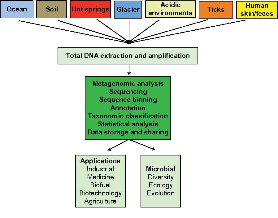 Metagenomic analysis